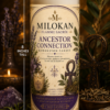 MFS Ancestor's Connection 7 day prayer Candle